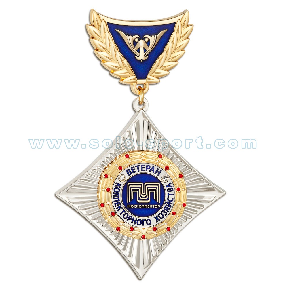 Медаль Ветеран коллекторного хозяйства