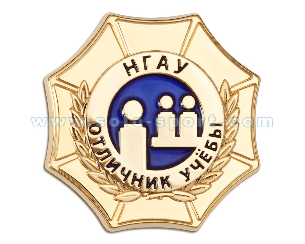 Знак Отличник учебы НГАУ